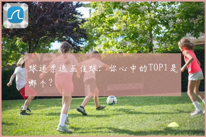 球迷票选五佳球：你心中的TOP1是哪个？